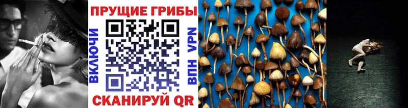 Псилоцибиновые грибы Magic Shrooms  Чебаркуль 